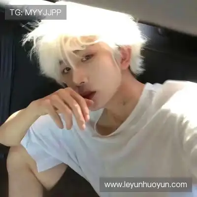 晏清飚